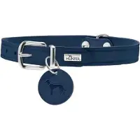 Hunter Halsband Aalborg (Hond, Hondensport)