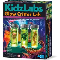 4M Wetenschap En Spel - Labo Met Lichtgevende Beestjes - Decoratie Voor Kinderen - KidzLabs - 5 Jaar