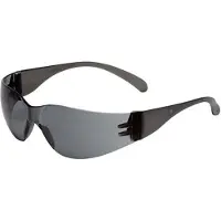 3M Veiligheidsbril Virtua Grijs PC