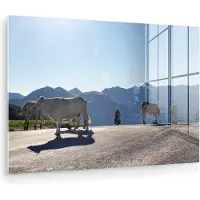 MuchoWow Glasschilderij 180x120 cm - Schilderij acrylglas - Schotse hooglander - Licht - Berg - Natuur - Foto op glas - Muurdecoratie woonkamer - Wanddecoratie slaapkamer - Schilderijen