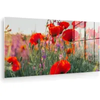 MuchoWow Glasschilderij 80x40 cm - Schilderij acrylglas - Klaproos - Bloemen - Rood - Paars - Weide - Foto op glas - Muurdecoratie woonkamer - Wanddecoratie slaapkamer - Schilderijen