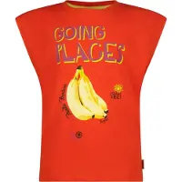 Vingino T-shirt rood Meisjes Katoen Ronde hals Printopdruk - maat 176