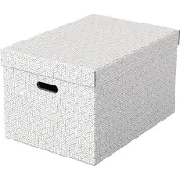 Esselte Grote Opbergdoos 510x355x305 Mm
