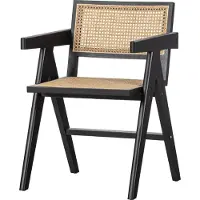 Woood Gunn Eetkamerstoel - Rattan - Zwart - 80x54x54