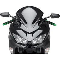 Puig Z-racing Kawasaki Ninja 400 Voorruit