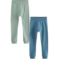 Next Leggings duifblauw / pastelgroen