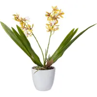 Intratuin Kunstplant Vlinderorchidee Geel 18 X 15 X 37 Cm