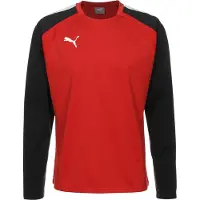 Puma Functioneel shirt 'Team Liga' rood / zwart