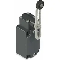 PIZZATO ELETTRICA FD 556-M2 FD 556-M2 Eindschakelaar 250 V/AC 6 A Zwenkbare rolhendel Moment IP67 1 stuk(s)
