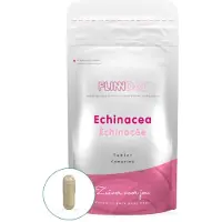 Flinndal Echinacea Tabletten - Voor Goede Weerstand - Ondersteunt Immuunsysteem - 30 Tabletten