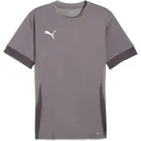 Puma Functioneel shirt grijs / donkergrijs / wit