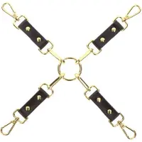 Taboom – Vogue Hogtie