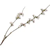 Silk-ka - Kunsttak - bloesem - creme - H116 cm