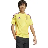 Adidas Functioneel shirt 'Belgium 25' geel / lichtlila / rood