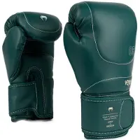 Venum Impact Evo Bokshandschoenen Smaragd Groen - 12 OZ