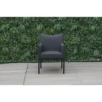 CLEMENTO Lyon dining tuinstoel vier poten aluminium/sunbrella 2 stuks
