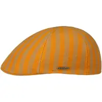 Stetson Texas Bold Pet by