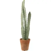 J-Line Cactus 3 parts in pot plastic green large