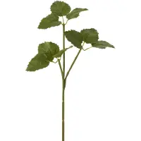 Jline Tak hoppe plastiek groen