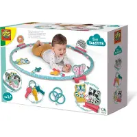 SES Creative - Tiny Talents - Sense Around Activiteiten Ring - Montessori speelring - inclusief ringen, contrastkaartjes en bijtsleutels Bijtring - Baby Speelgoed - Sinterklaas Cadeautjes
