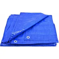 AWTOOLS BLAUWE AFDEKBED 70g 10* 20m