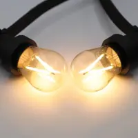 LumenXL Prikkabel set met 3 watt, dimbare LED filament lampen