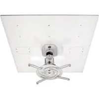 Amer Mounts AMRDCP100KIT projector beugel Plafond Wit