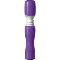 Wanachi Massager - Purple 1 Stuks