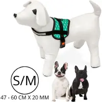 Karlie Hondentuigje S/M - Verstelbaar - Comfortabel - Reflecterend - Veiligheidssluiting - Hondentuigje met D-ring - Hondentuigje voor puppies en kleine rassen