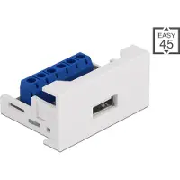 DeLOCK Easy 45 Module USB 2.0 Type-A Socket naar aansluitblok 22,5 x 45 mm (USB 2.0, 2.25 cm), Data + Video Adapter, Wit