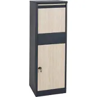 MCW Pakketdoos -G80, staande brievenbus Pakketbrievenbus formaat XL ~ antraciet gegalvaniseerd, lichte houtlook