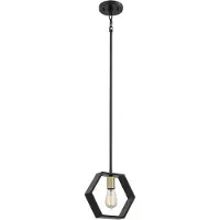 QUOIZEL LED Hanglamp Bismarck | 1X E27 Max 60W | Dimbaar | Earth Black