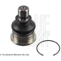 Blue Print ADBP860066 Fuseekogel