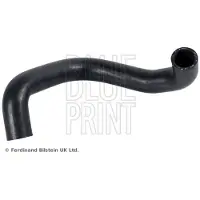 Blue Print ADBP930001 Radiateurslang