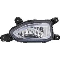 Diederichs 6815088 Mistlamp