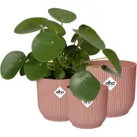 Elho Vibes Fold Rond - Bloempotten voor Binnen - 100% Gerecycled Plastic - Set van 3 - Ø 14, 16, 18 cm - Delicaat roze