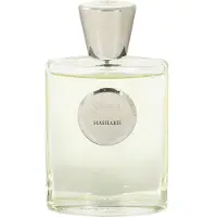 Giardino Benessere - HASHABIS Unisexgeuren 100 ml