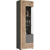 Hioshop Freno vitrinekast 1 deur grijs.