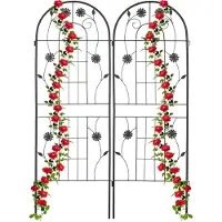 Relaxdays plantenklimrek set van 2 - 150 x 50 cm - klimplanten - metaal - zwart