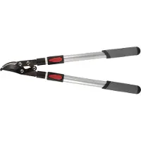 Talentools takkenschaar telescopisch 66-99cm voorbijsnijdend