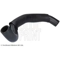 Blue Print ADBP930008 Radiateurslang