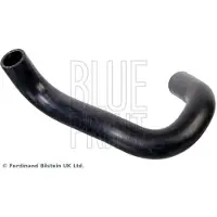 Blue Print ADBP930006 Radiateurslang