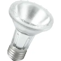 Schiefer | Grote fitting E27 | Reflectorlamp | 63mm | 50W