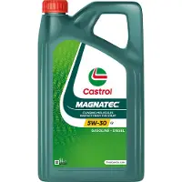 Castrol 15F6C4 Motorolie