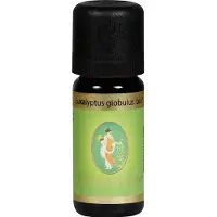 Primavera Eucalyptus globulus bio