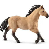 Schleich HORSE CLUB 13853, 5 rok/roky, Meerdere kleuren, Kunststof, 1 stuk