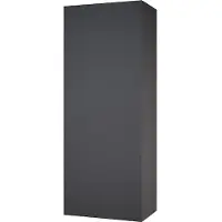 Vicco Gloria Badkamerkast – 33 x 84 cm met 2 planken Antraciet