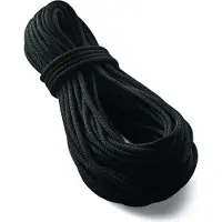 Tendon - Pro Work 11 - Statisch touw 30 m, zwart
