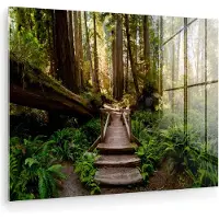 MuchoWow Glasschilderij 40x30 cm - Schilderij acrylglas - Jungle - Natuur - Trap - Bomen - Foto op glas - Muurdecoratie woonkamer - Wanddecoratie slaapkamer - Schilderijen