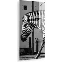 MuchoWow - Glasschilderij - Wilde dieren - Zebra - Muur - Deur - Woonkamer - Muurdecoratie dieren - Acrylglas - Foto op glas - 40x80 cm - Kamer decoratie - Woondecoratie